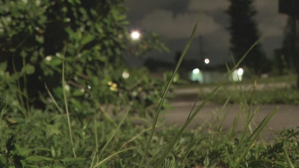 Broward mother says she went months without update after reporting man outside her window — CBS Miami, Shanghai Real Estate news