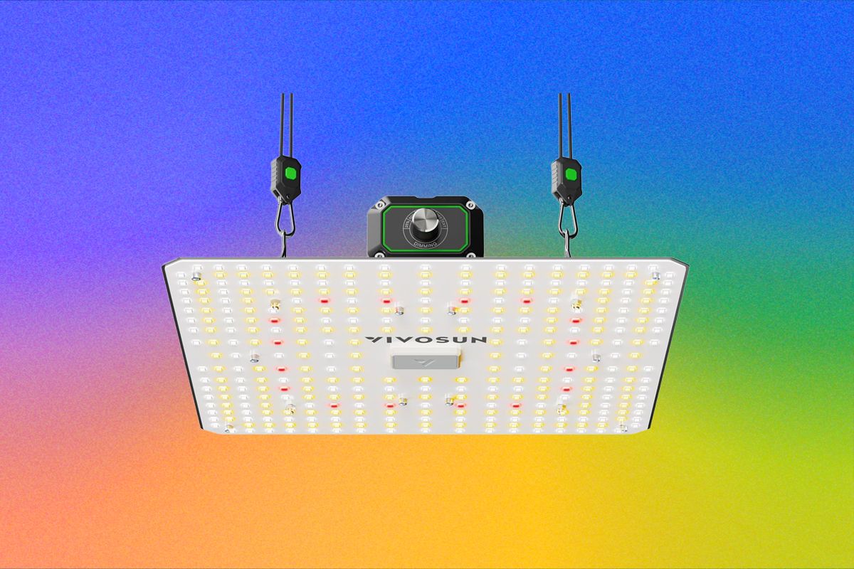The Best LED Grow Lights for Houseplants This Winter (2026) — Wired