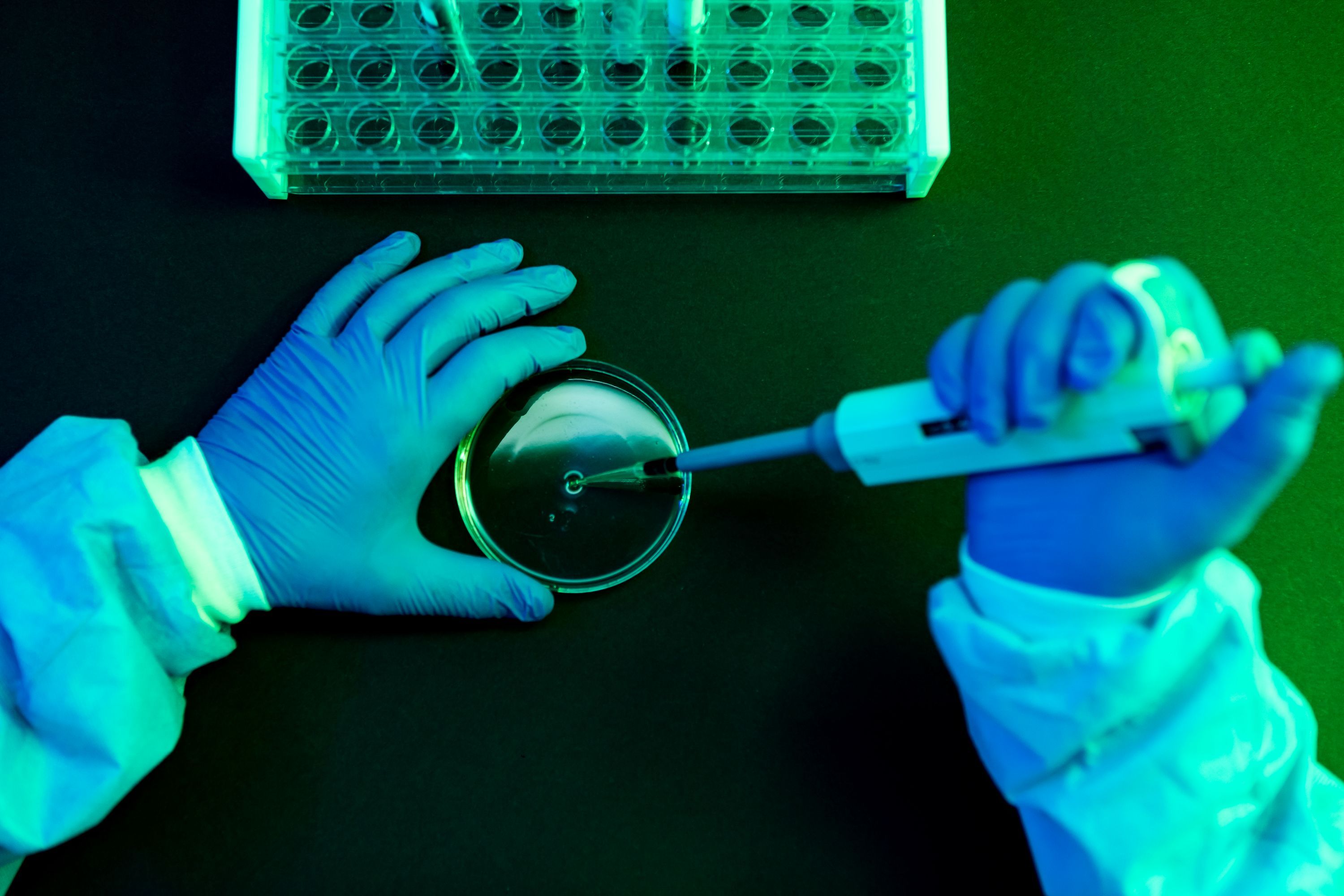What to Know About Shamonda Virus Following the First Reported Human Infection — Wired, Shanghai Technology news